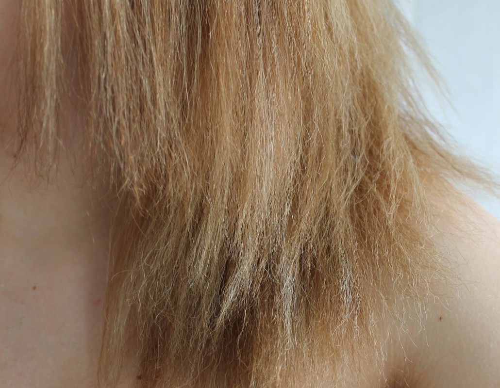 1. How to Get Rid of Blue Tones in Bleached Hair - wide 3